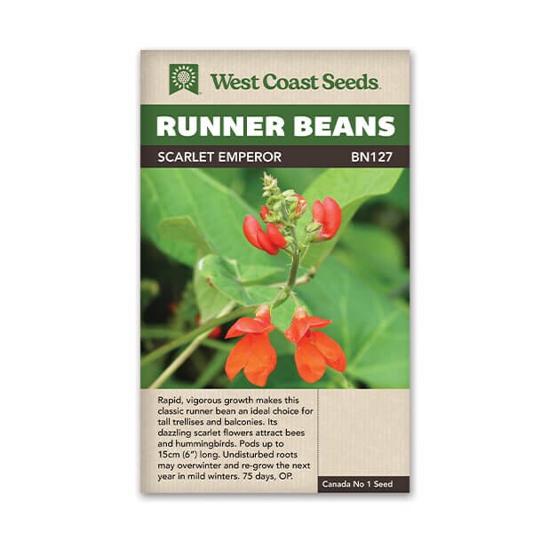 Runner Bean Seeds